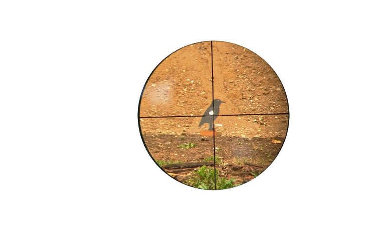 Crow in the Crosshairs